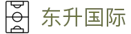 东升国际